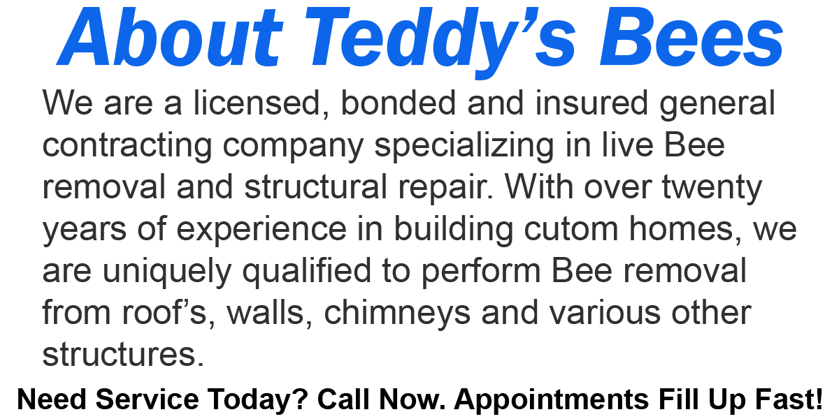 Teddys Bee Removal company logo with text that says, About Teddy,s Bee Removal.We are a licensed, bonded, and insured general contracting company specializing in live bee removal and structural repair. With over twenty years of experience in building custom homes, we are uniquely qualified to perform bee removal from roofs, walls, chimneys and various other structures. Call now. Appointments fill up fast.