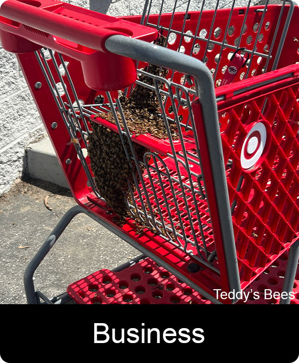 picture of teddys beekeepers removing bees from a shoping cart. nav image