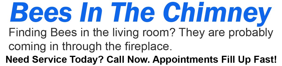 Teddys Bee Removal company logo with text asking if you need bee removal from your chimney? Call now. Appointments fill up fast
