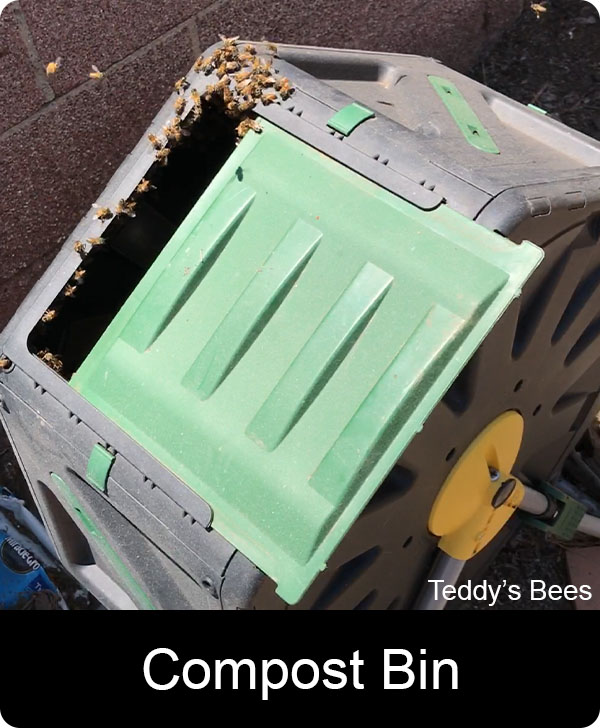 picture of a live bee removal from a composting bin
. nav image