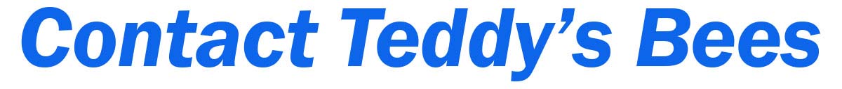 Teddys Bee Removal company logo with text showing A contat Us image.