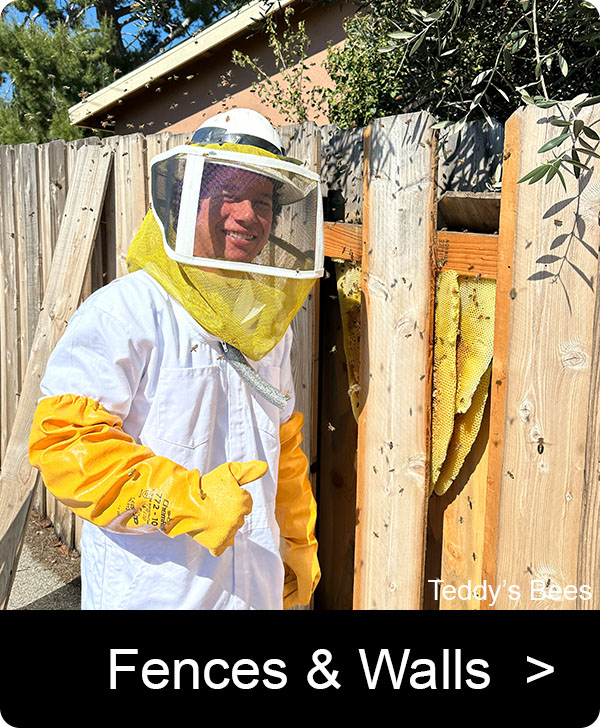 Picture of a teddys Beekeeper removing a hive from a fence. nav link image