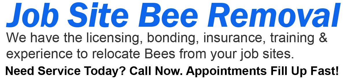 Teddys Bee Removal company logo with text that says,we remove bees from jobsites. Call now. Appointments fill up fast