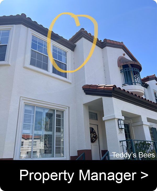 Picture of Teddys beekeepers inspecting a building that needs bee removal from the eaves.