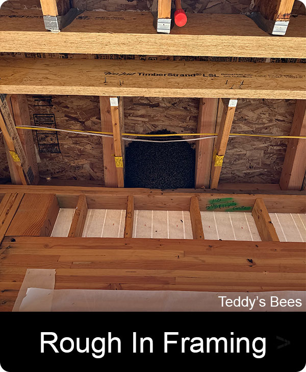 Picture of a bee removal from wood framing on a jobsite. nav link image
