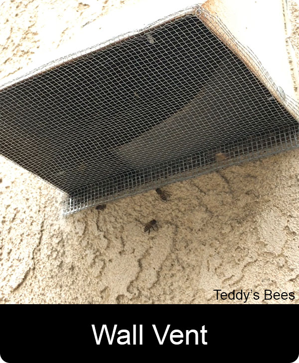 Picture of bees getting into the dryer vent of a home.Time for a structural bee removal. nav link image