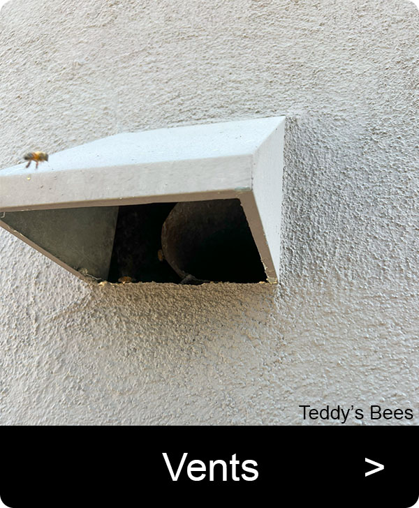 Picture of a bee swarm entering the exhaust vent of a house. nav link image