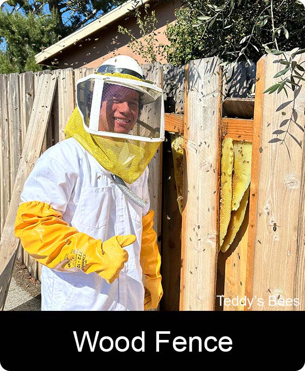 Picture of a huge bee hive in awood fence. nav link image